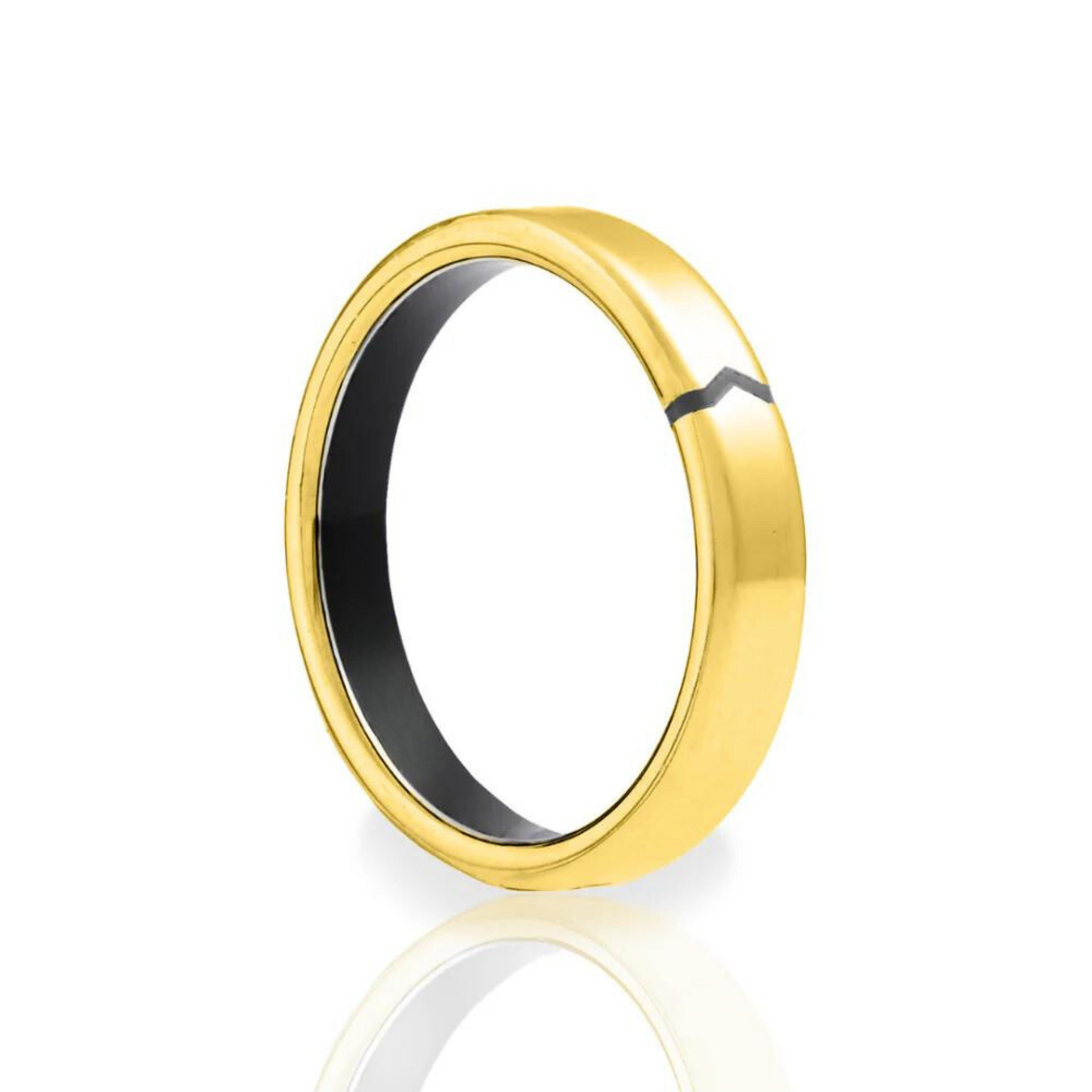 ANELLO DI PAGAMENTO - PagoQuick
