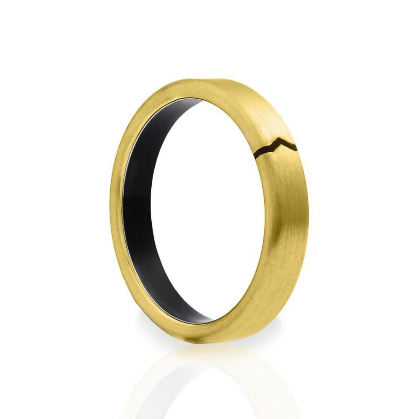ANELLO DI PAGAMENTO - PagoQuick